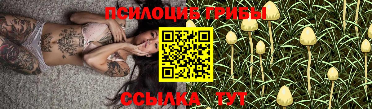 Галлюциногенные грибы Cubensis Лянтор