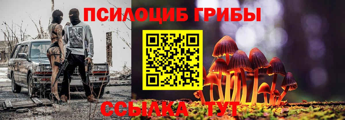 Лянтор  Псилоцибиновые грибы GOLDEN TEACHER  Вход с VPN 